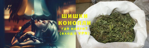 СК Богородск