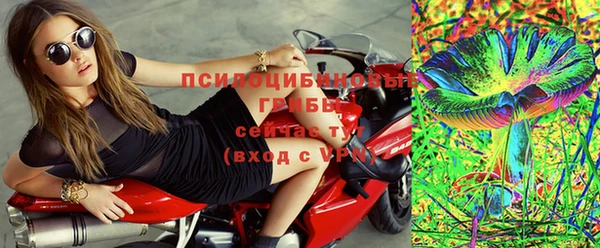 мдпв Бугульма