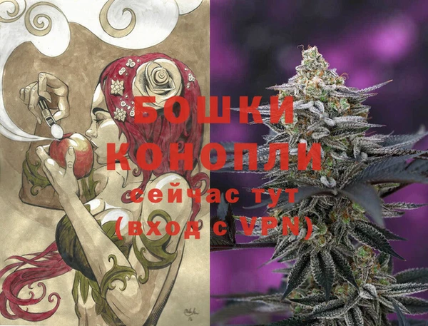 мдпв Бугульма