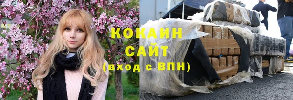 сатива Богданович