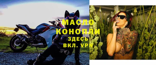 СК Богородск