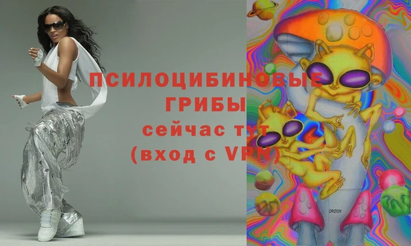 герыч Бородино