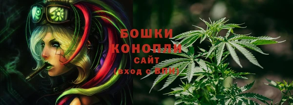 герыч Бородино